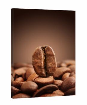Macro of coffee bean on brown background