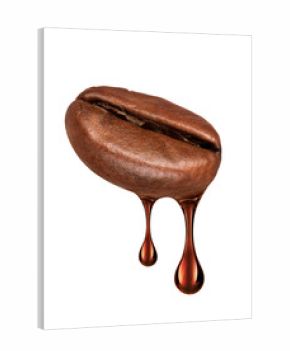 Drop of coffee dripping from coffee seed close-up isolated on white background