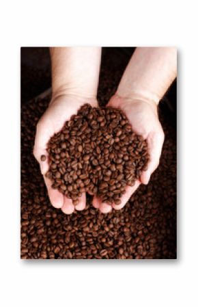 mann zeigt kaffeebohnen mit beiden händen