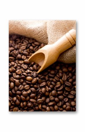コーヒー豆  
