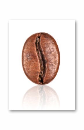 coffee bean closeup isolated on white background