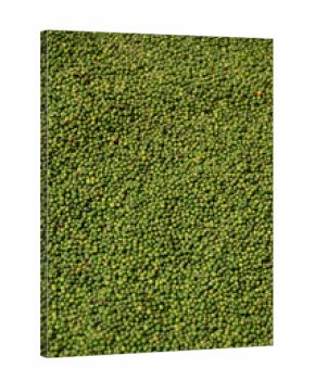 séchage poivre vert