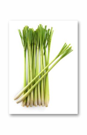 Lemon grass on white background