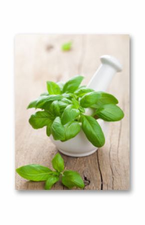 basil in mortar