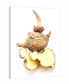 Konjac, Elephant yam, Stanley s water-tub