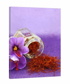 Dried saffron spice and Saffron flower