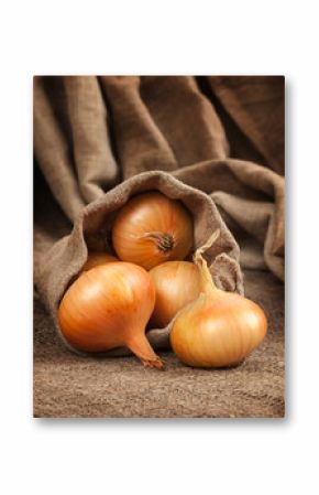 Onion in bag