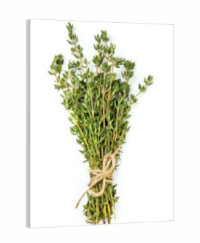 Bunch of Thyme Isolated on White