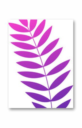 Flat design fern leaf is showing pink to purple gradient on transparent backdrop, copy space
