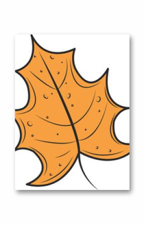 Stylized orange leaf is floating on transparent background showing thick outline and curved veins