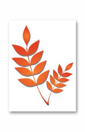 Flat vector orange leaf branches are floating on transparent background with gradient  and  drop sha