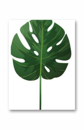 Monstera-like tropical leaf is being showcased in flat design, transparent background