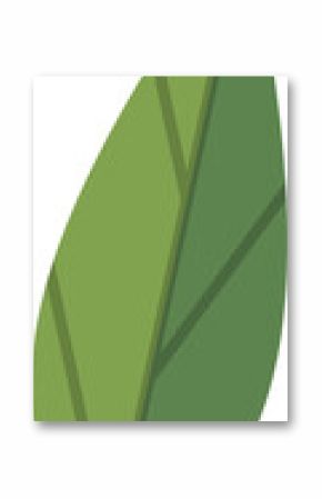 Single stylized botanical leaf is floating as flat vector illustration, with transparent background