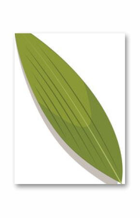 Stylized lanceolate leaf is displaying veins in flat design on transparent background, copy space