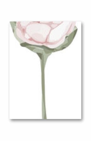 Flat vector art is showing pale pink flower with leaf bud on green stem, transparent background
