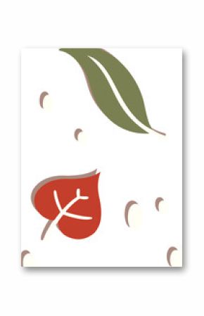 Showing flat design with olive elongated leaf, red heart leaf and seeds on transparent background