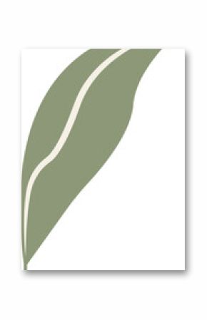 Abstract olive leaf floating diagonally in flat style, showing cream stripe, transparent background