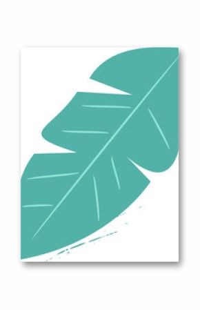 tropical leaf with pale green veins is being shown in flat vector style with transparent background