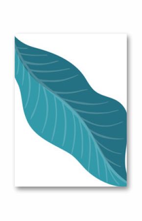 Flat design leaf illustration showing teal and turquoise sides with veins on transparent background