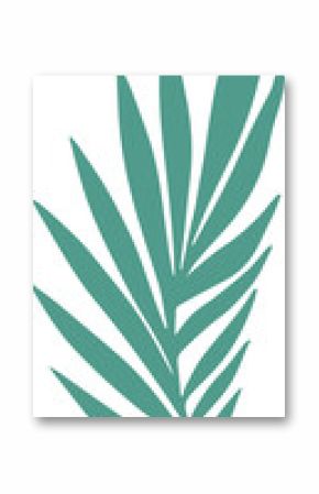 Stylized palm leaf frond is radiating elongated leaflets in flat design, transparent background