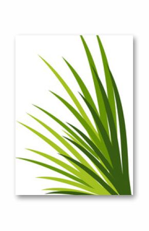 Green palm leaf cluster is radiating layered fronds on transparent background in flat vector style