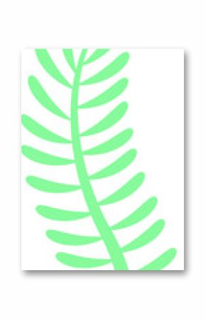 Stylized mint green fern frond is floating in flat illustration, transparent background