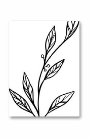 Showing stylized plant branch in minimal sketch style with leaf venation on transparent background
