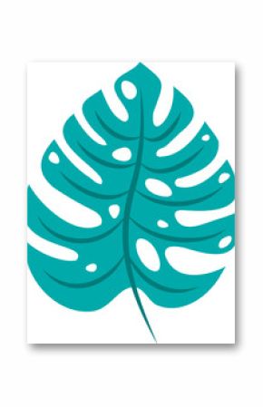 Stylized Monstera leaf illustration is floating on transparent background in flat vector design
