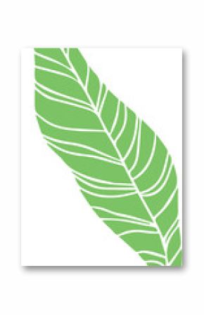 Stylized flat green banana leaf is floating on transparent background, showcasing curved dark veins
