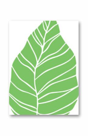 Stylized green leaf graphic is floating on transparent background, featuring curved vein pattern