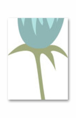 Flat flower bud showing aqua petals shaded yellow tip on olive stem-calyx on transparent background