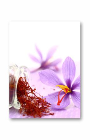 Close up of saffron flower and dried saffron spice