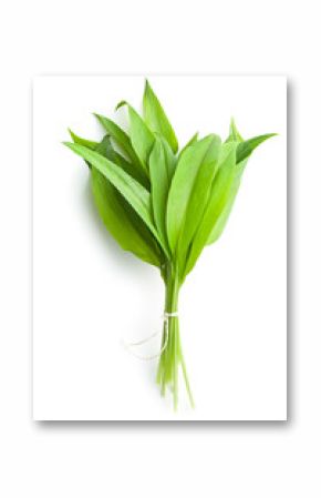 Fresh ramsons leaves.