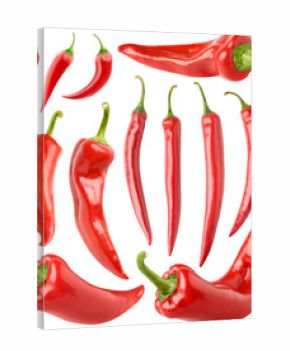 Isolated peppers collection. Various red hot chili peppers isolated on white background with clipping path