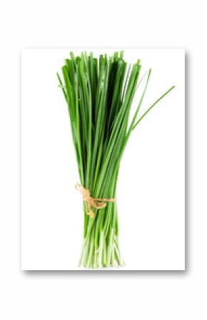 Garlic chives isolated on white background