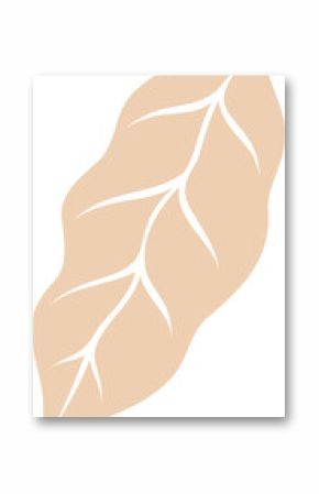 Beige flat design leaf is showing smooth flowing curves and white veins on transparent background