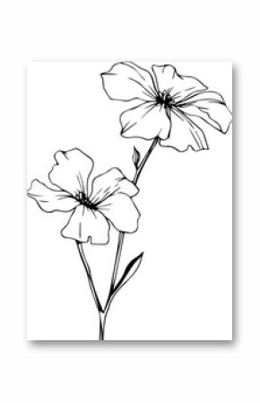 Pair of black line-art flowers are growing on stems with bud and leaf, transparent background