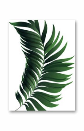 Tropical palm leaf frond is being shown in 3D style with gradient shading on transparent background