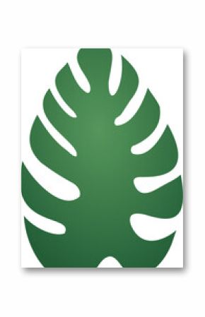 Stylized green monstera-like leaf is floating on transparent background, flat design