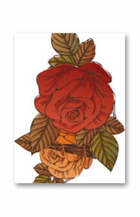 Two styled roses with brown green leaves are appearing in vector art on transparent background