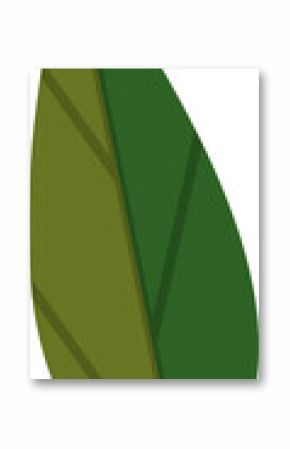 Flat vector leaf is showcasing two-tone olive and forest green with veins, transparent background