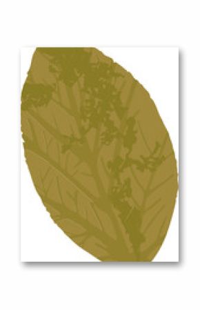 Flat design leaf is showcasing mustard yellow with veins and seed cluster on transparent background