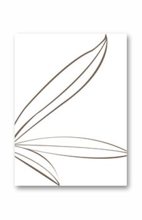 Brown leaf outlines are fanning in flat style on transparent background, abstract motif, copy space