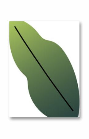 Abstract green leaf shape is floating in flat design with black diagonal vein on transparent canvas