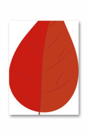 Stylized leaf is showing two-tone red orange in flat design with veins on transparent background