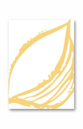 Featuring flat golden abstract leaf with curved outlines and inner lines on transparent background