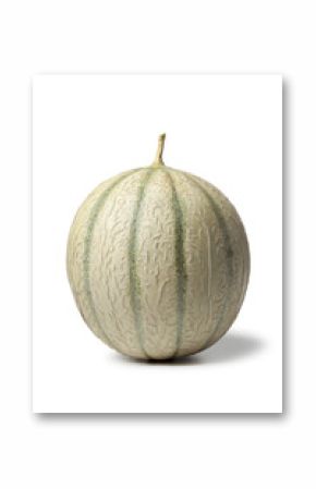 Fresh ripe Charentais melon