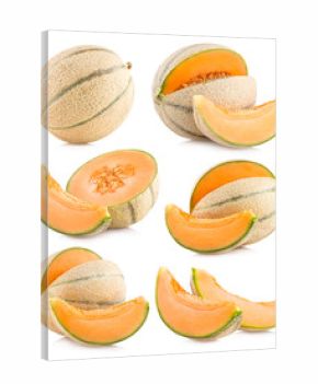 collection of 6 cantaloupe melon images