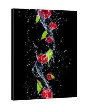 Cherries in water splash, isolated on black background