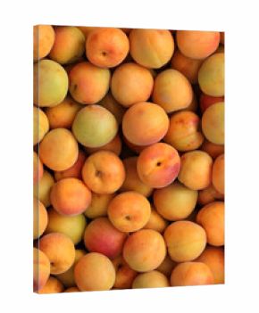 Apricots